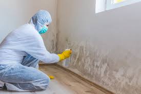 Best Commercial Mold Inspection in Brillion, WI