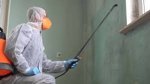 Why You Should Choose Our Mold Remediation Services in Brillion, WI