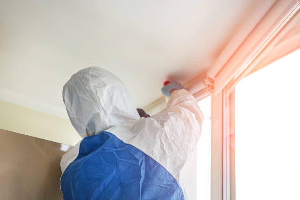 Best Forensic Mold Investigation in Brillion, WI