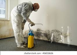 Best Industrial Mold Remediation in Brillion, WI